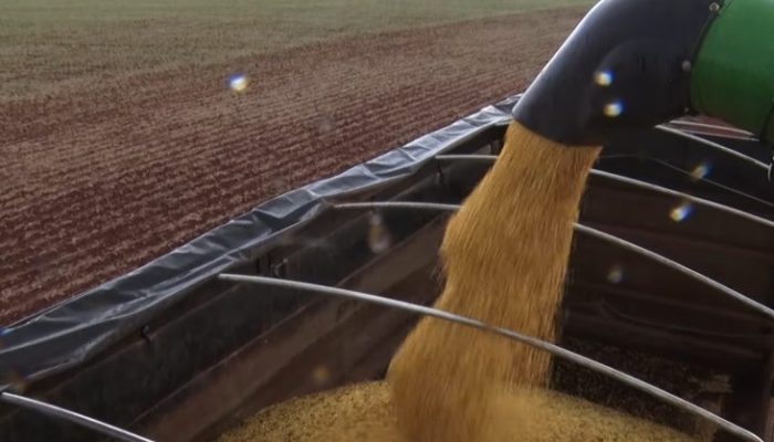 que a pausa é vital para a produção apareceu primeiro em Notícias do Agronegócio