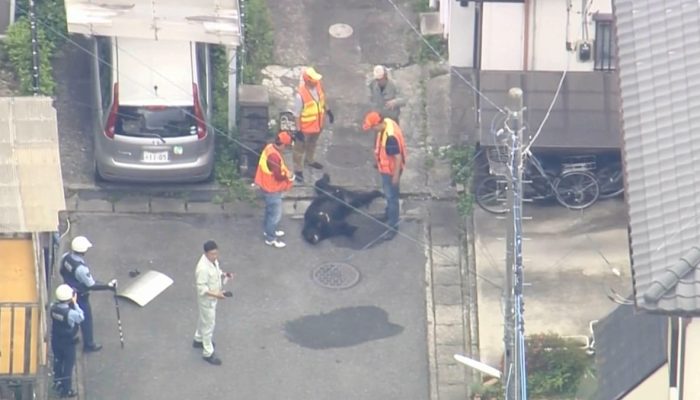 cidade