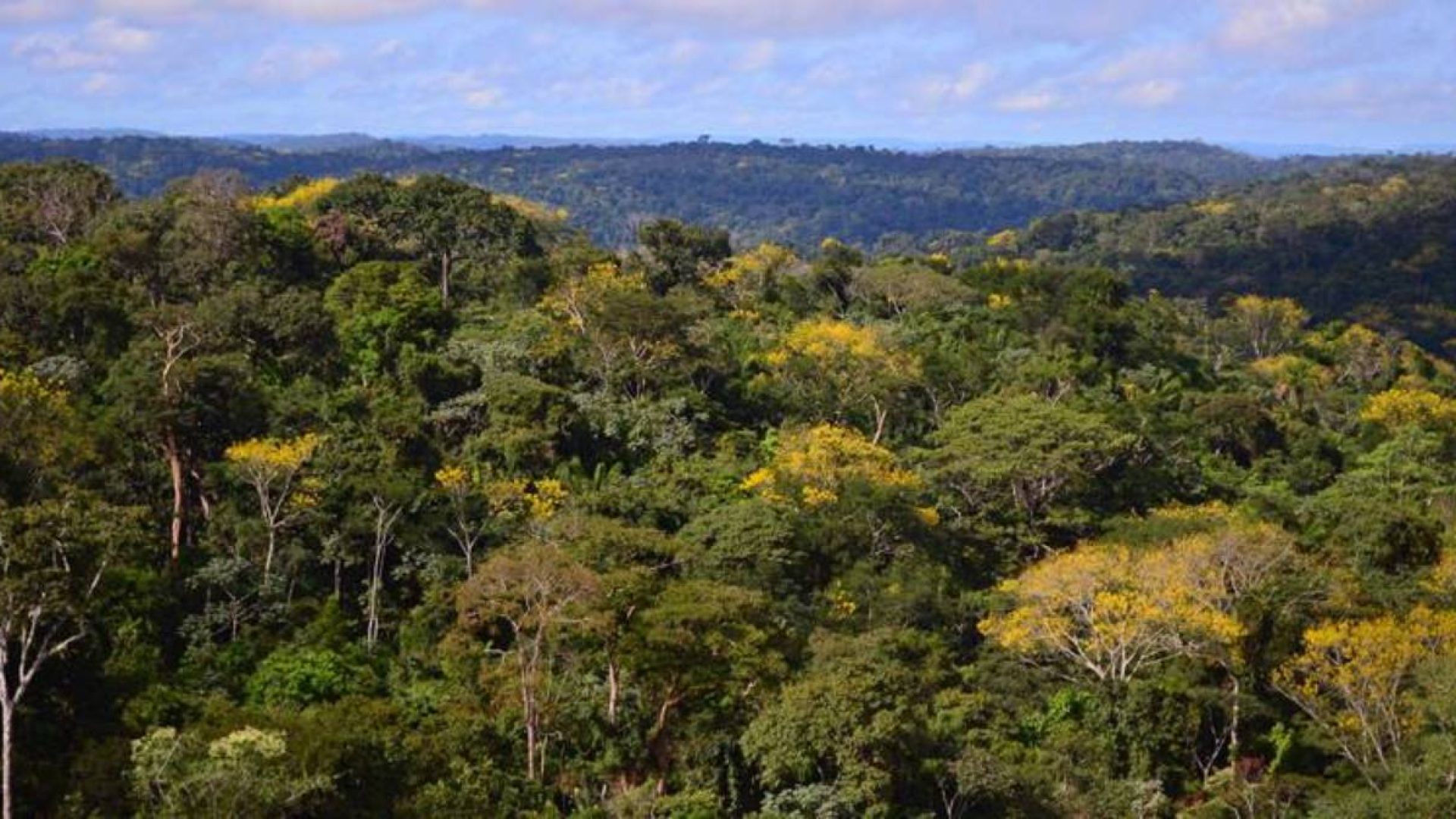 te de 40,7 milhões de libras ao Fundo Amazônia, consolidando-se como o segundo m