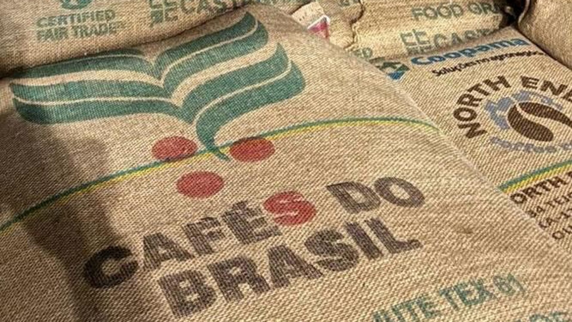 tação de café do Brasil cresce 3,6% ante maio de 2025, para 3,1 mi de sacas apar