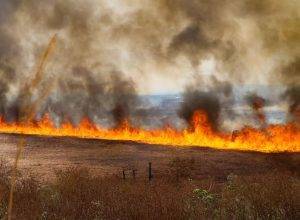 tância da prevenção aos incêndios no campo apareceu primeiro em Notícias do Agro
