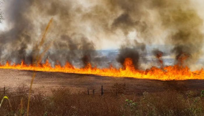 tância da prevenção aos incêndios no campo apareceu primeiro em Notícias do Agro