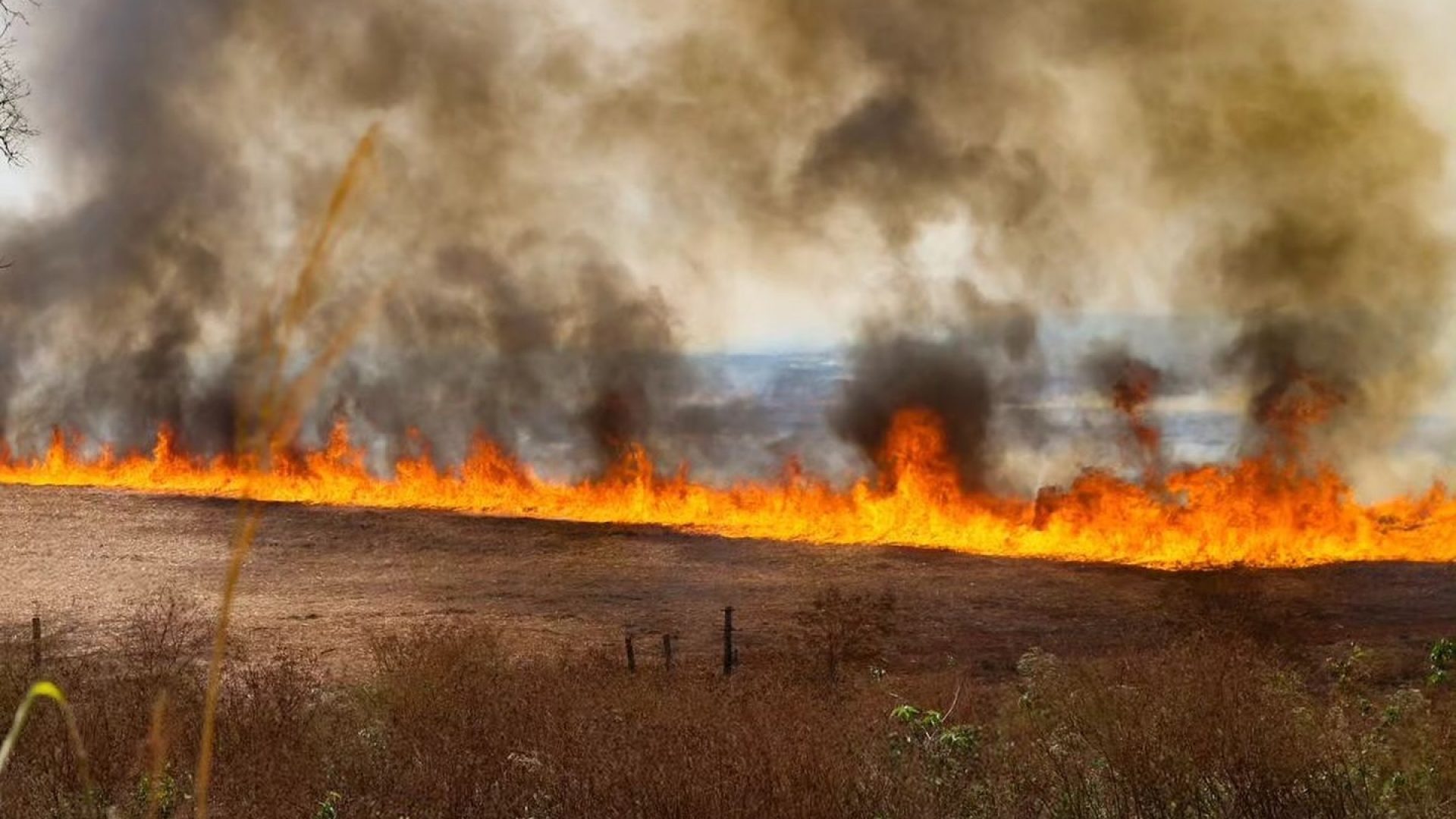tância da prevenção aos incêndios no campo apareceu primeiro em Notícias do Agro