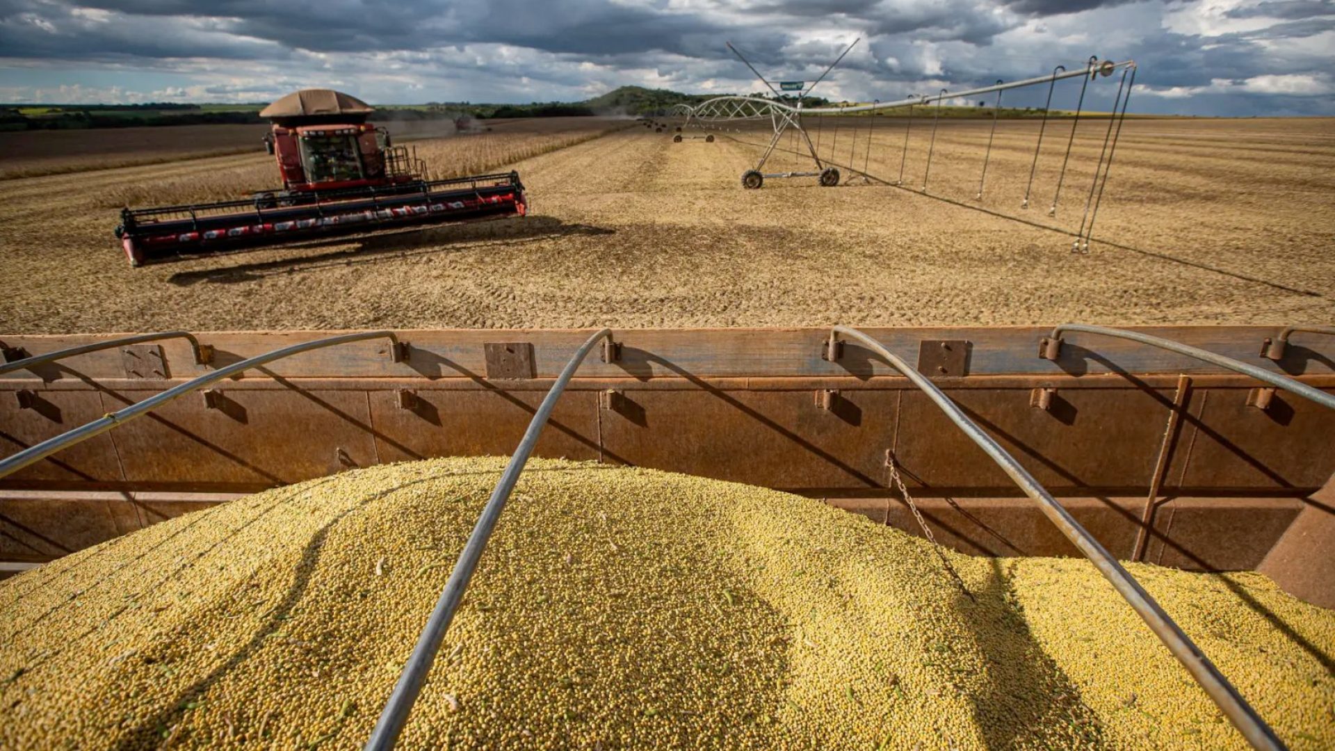 tante para o agronegócio brasileiro O post Colheita de soja 2025/26 é concluída
