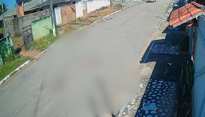 tratos a animal com resultado morte (Foto: Reprodução / Câmeras de segurança)