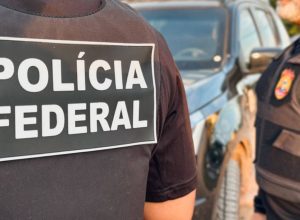 crimes como usurpação de bens da União, extração ilegal de recursos minerais, or