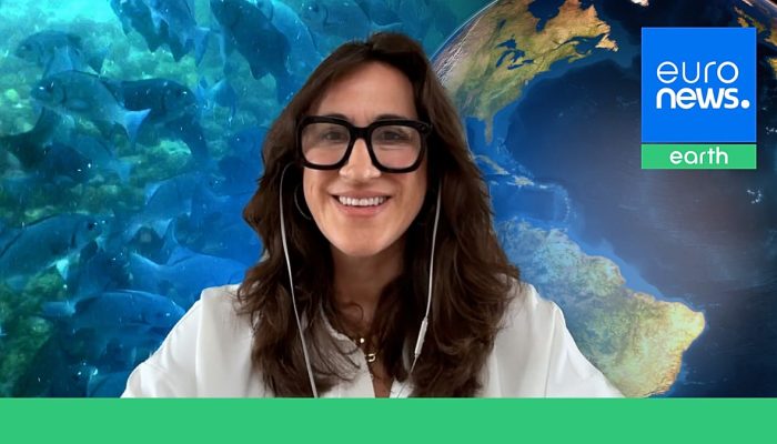 Tratado do Alto Mar redefine gest&atilde;o das &aacute;guas internacionais