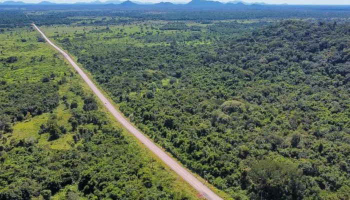 tância estratégica desses investimentos, considerados uma prioridade do governo