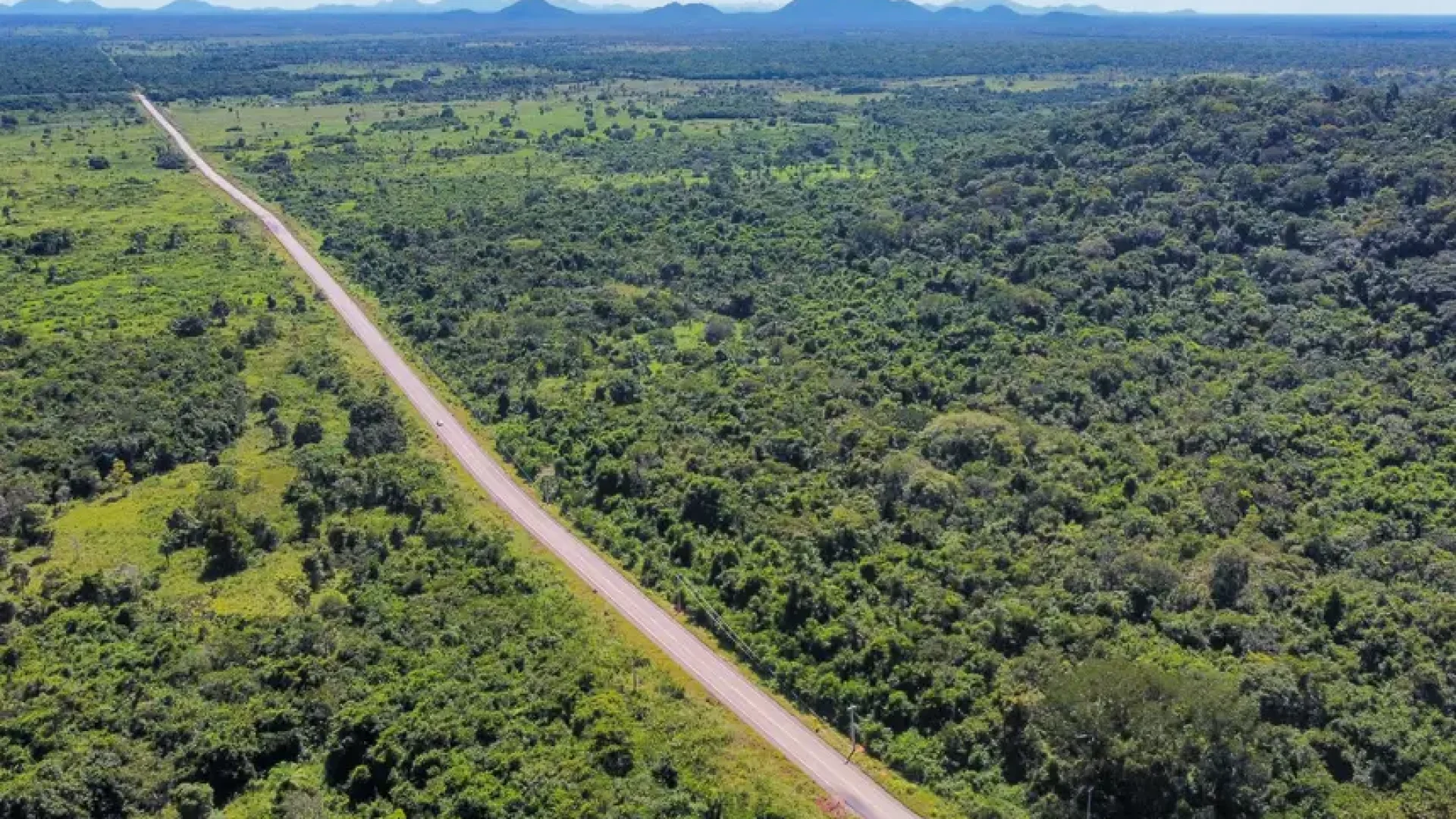tância estratégica desses investimentos, considerados uma prioridade do governo