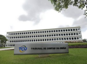 um acionista e a carga é contratada por outros, cujas ações não dão direito a vo