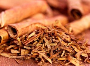 Indústria do tabaco deve contratar 9,1 mil safreiros em Santa Cruz do Sul