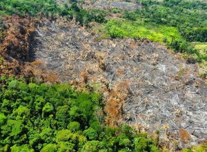Foto: A Voz do Xingu