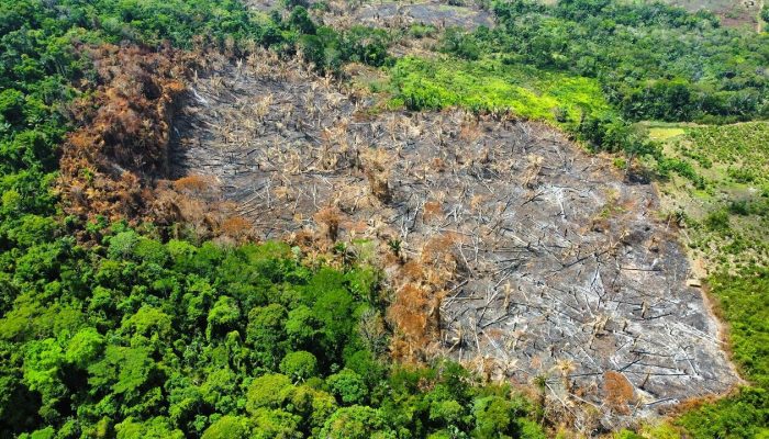 Foto: A Voz do Xingu