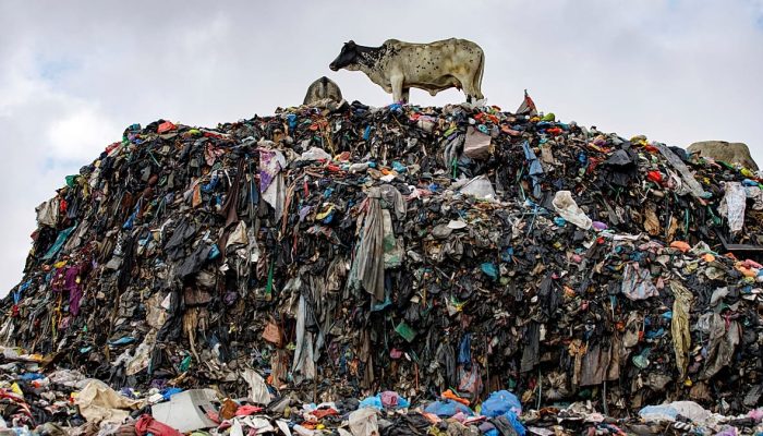 AP Photo / Misper Apawu