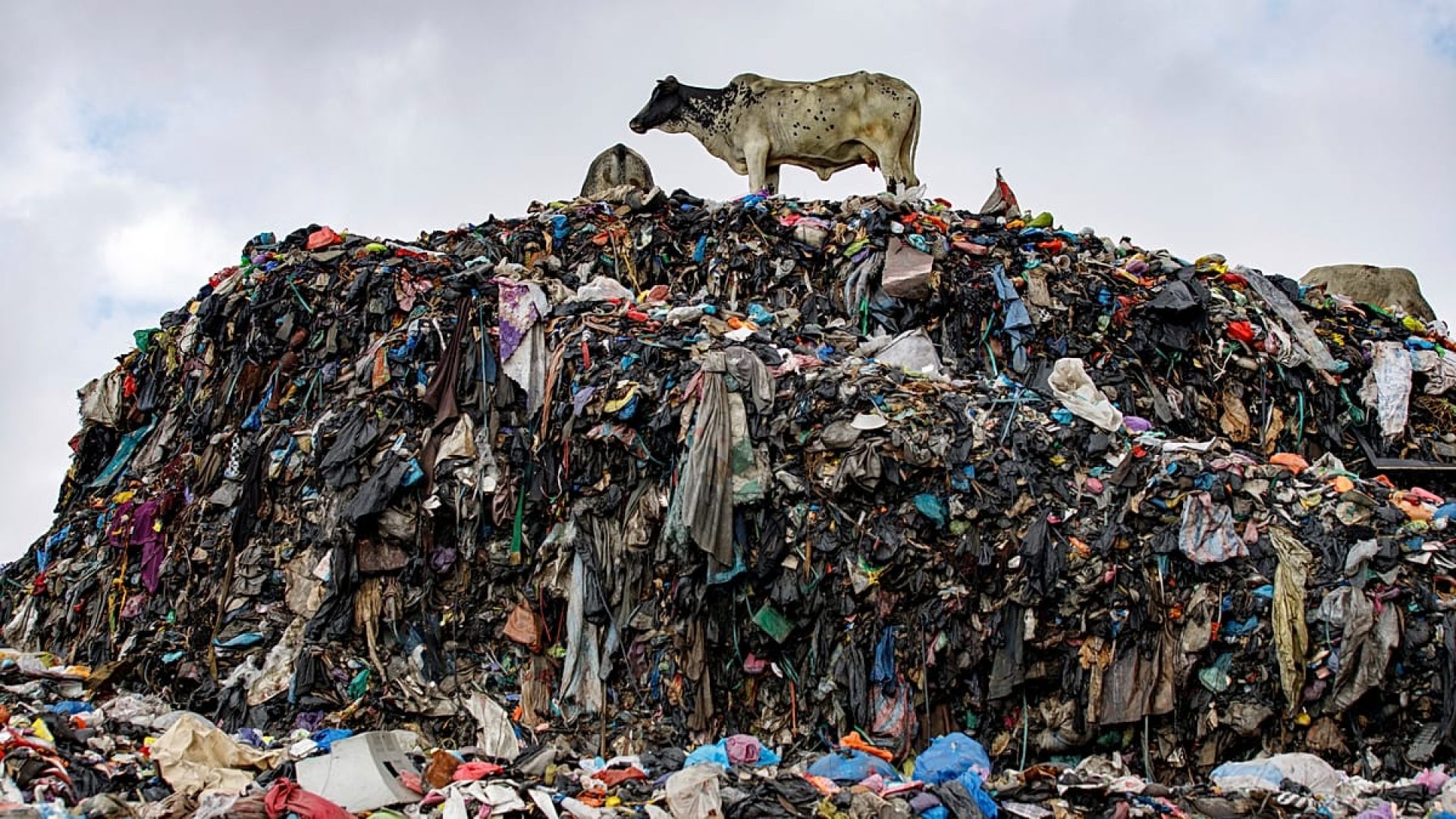 AP Photo / Misper Apawu