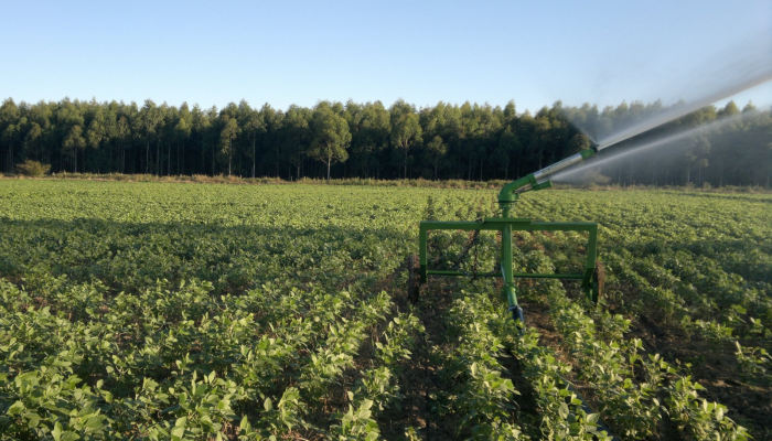 rural/">Produtores ganham mais prazo para atender exigências ambientais no crédito rural