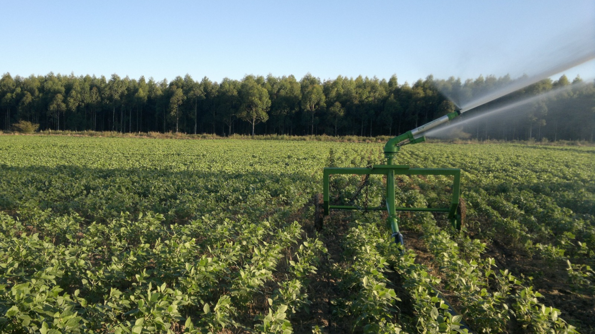 rural/">Produtores ganham mais prazo para atender exigências ambientais no crédito rural
