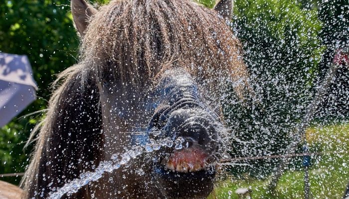 A vaga de calor prolongada, com temperaturas extremamente elevadas, causou no sábado, 27 de junho de 2026, danos significativos na infraestrutura do elétrico em Leipzig. AP Photo