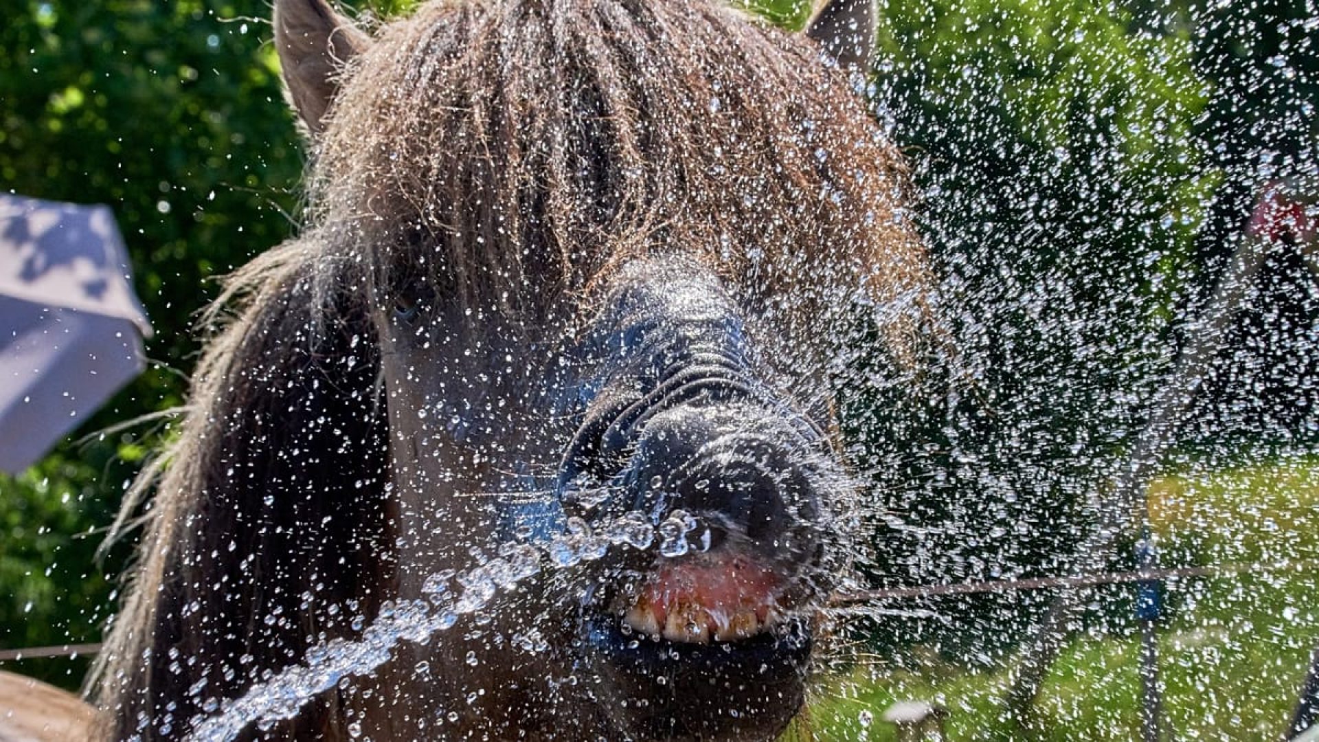 A vaga de calor prolongada, com temperaturas extremamente elevadas, causou no sábado, 27 de junho de 2026, danos significativos na infraestrutura do elétrico em Leipzig. AP Photo