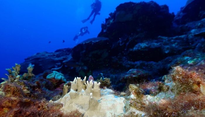 Calor recorde nos oceanos agrava subida do mar e fen&oacute;menos extremos em terra