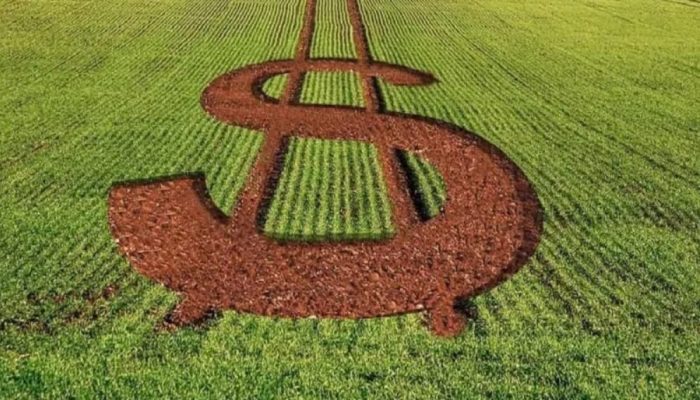 Famato exige medidas estruturais para o agronegócio de Mato Grosso, apesar de avanços no Plano Safra