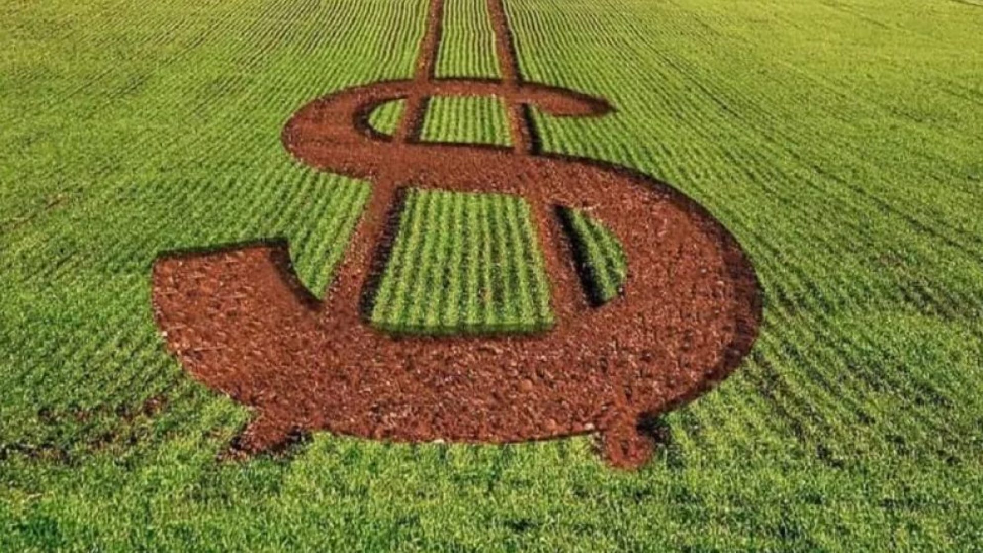 Famato exige medidas estruturais para o agronegócio de Mato Grosso, apesar de avanços no Plano Safra