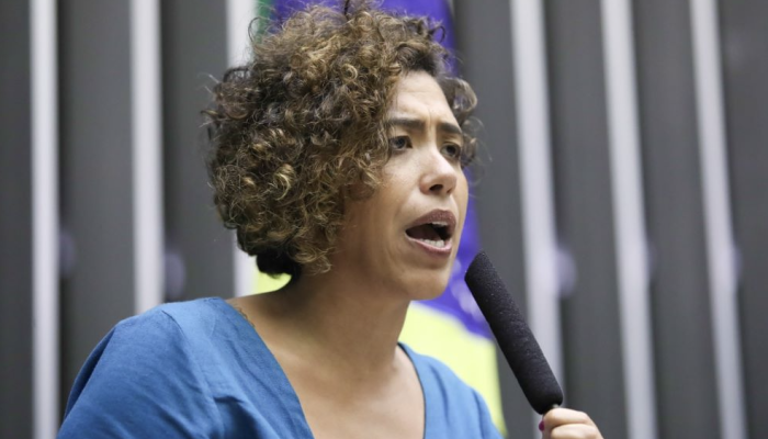 Talíria Petrone: deputada pede retomada de escolta da Câmara&nbsp; (./Divulgação