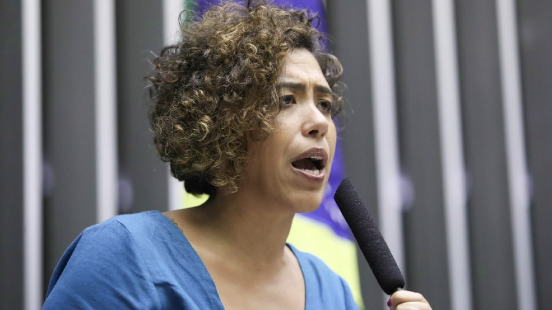 Talíria Petrone: deputada pede retomada de escolta da Câmara&nbsp; (./Divulgação