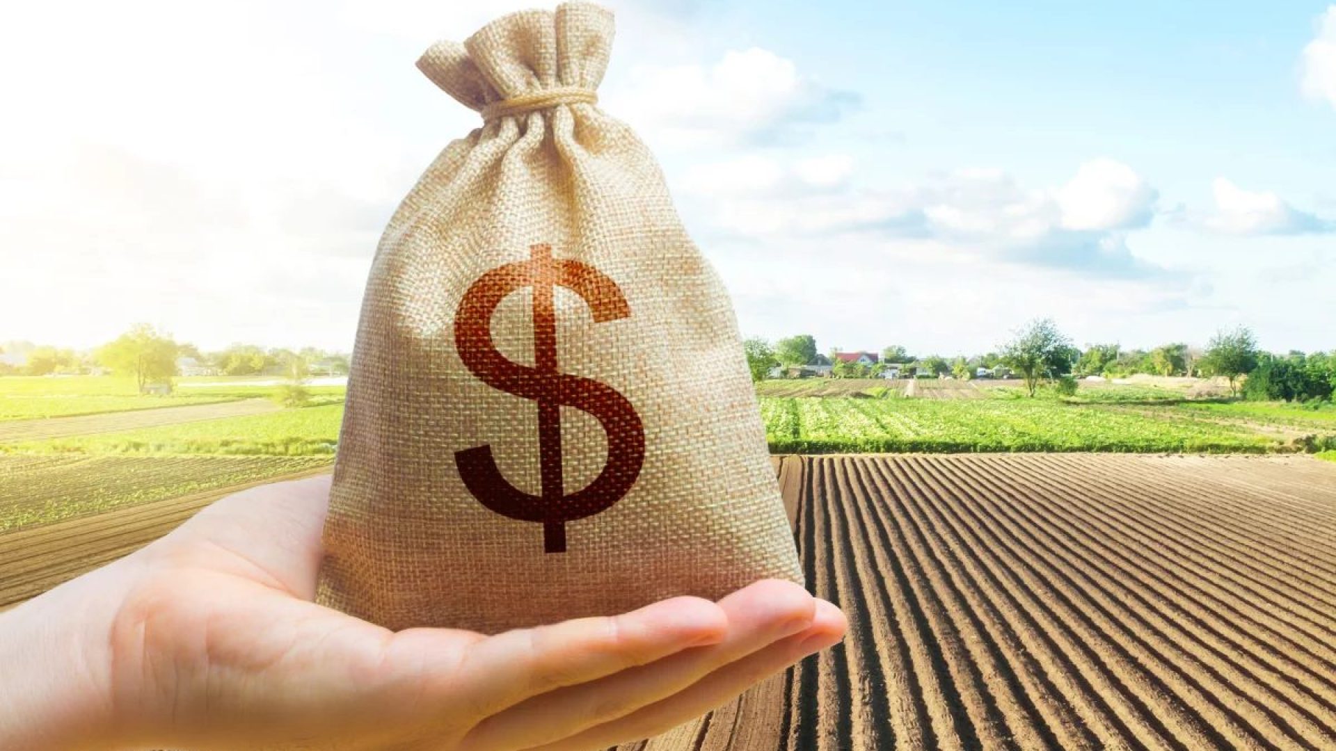 para-pessoas-fisicas/">Governo Federal democratiza o acesso ao Move Agricultura com crédito para pes