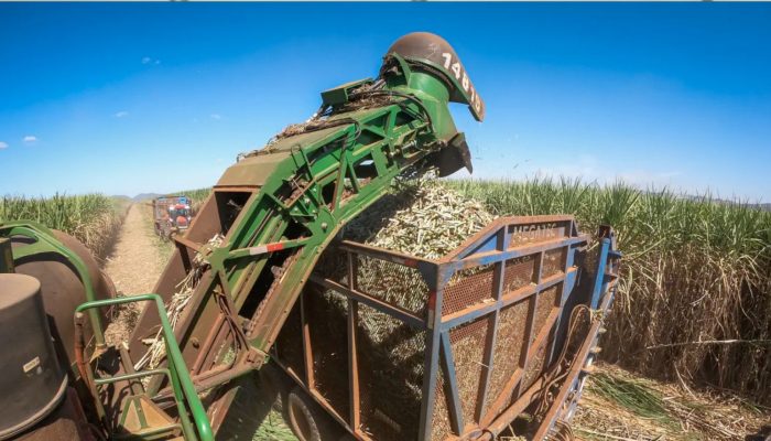 tonelada de cana a produtores afetados pelo aumento de tarifas impostas pelos Es
