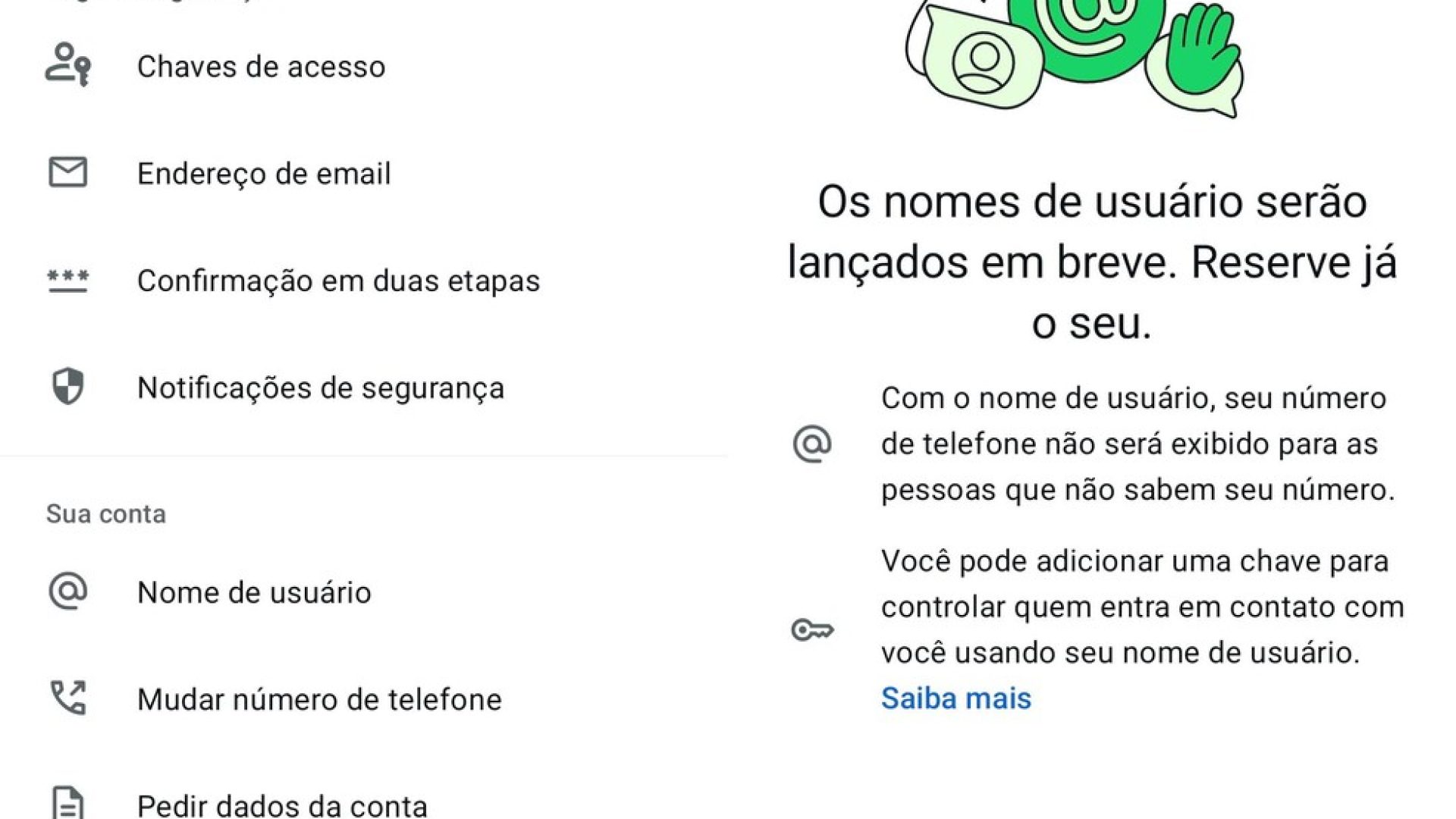 Foto: Divulgação/WhatsApp