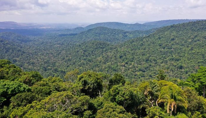 Agência Brasil Tags destaque no Pará Recuperação de Credito 300-x-100 banner queimão avistão - 300 x 100 WEB-BANNERS-POS
