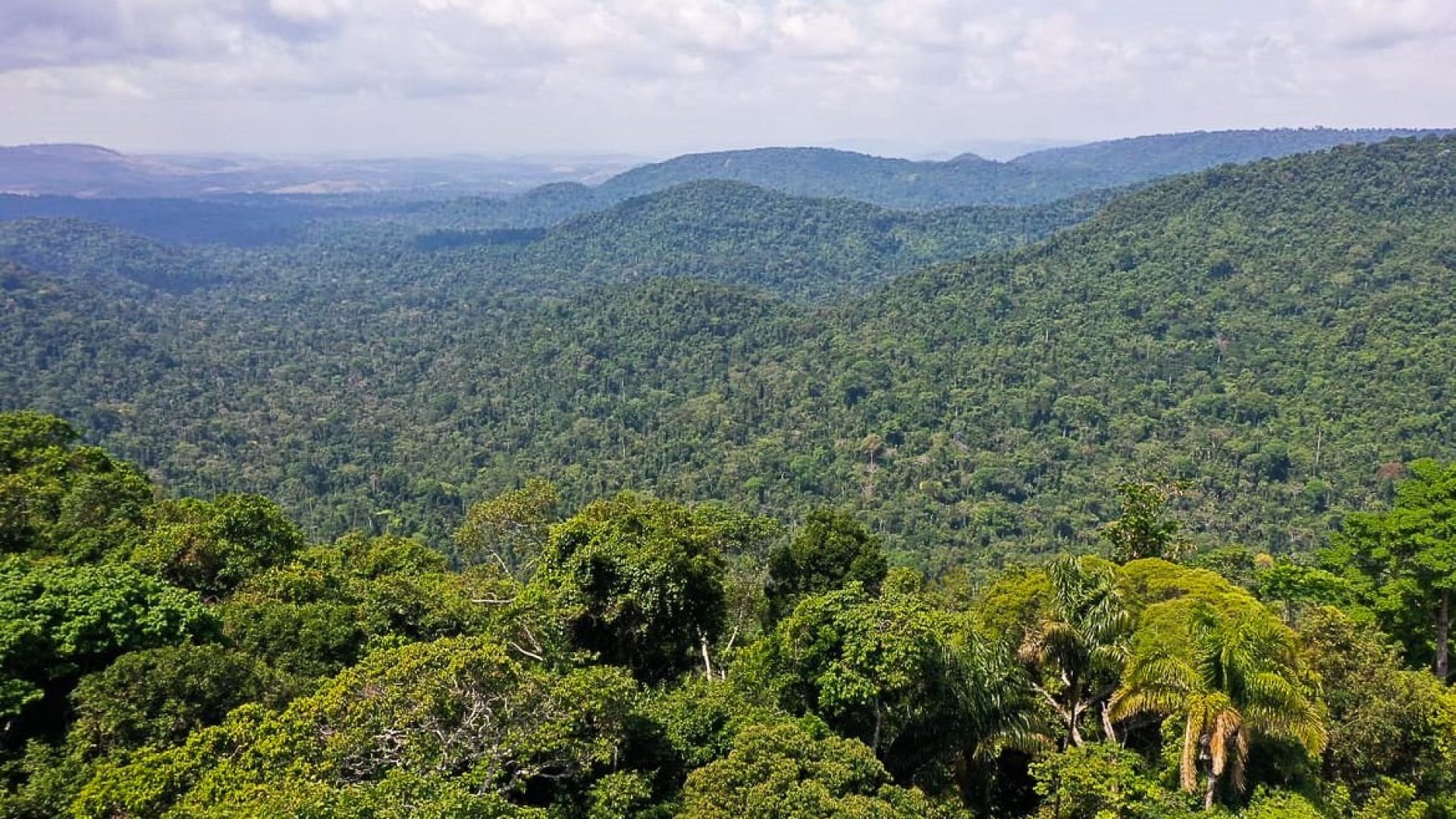 Agência Brasil Tags destaque no Pará Recuperação de Credito 300-x-100 banner queimão avistão - 300 x 100 WEB-BANNERS-POS