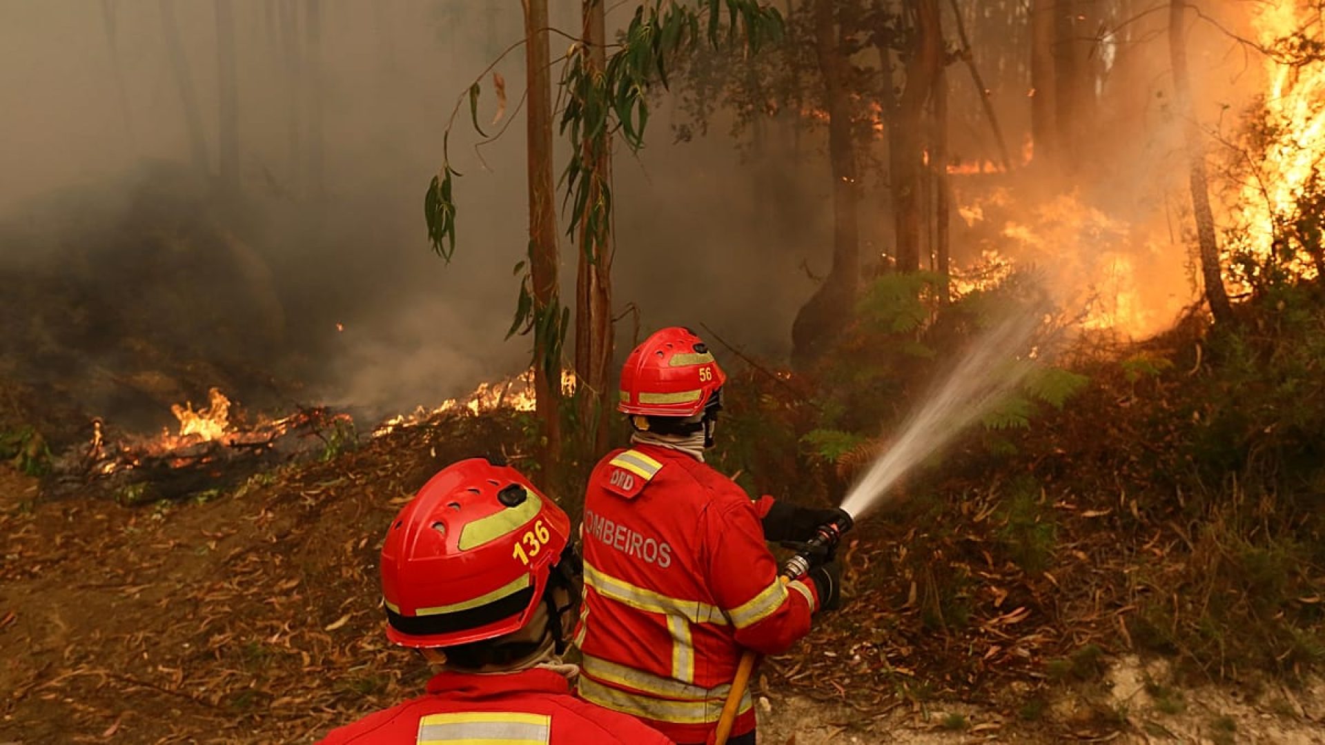 AP Photo/Bruno Fonseca