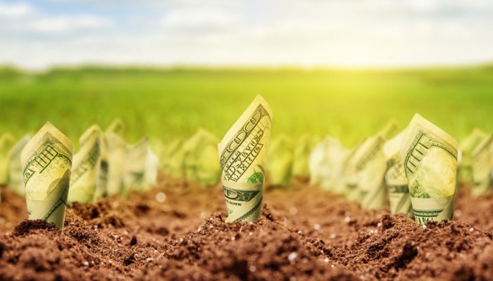 rural-mas-ainda-apresenta-desafios-estruturais-avalia-coalizao-brasil/">Plano Safra traz avanços em