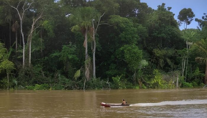 Bruno Cecim / Agência Pará Tags destaque no Marajó WEB-BANNERS-POSTÃO_BANNER-BiLLBOARD-300X100 banner liquida avistao