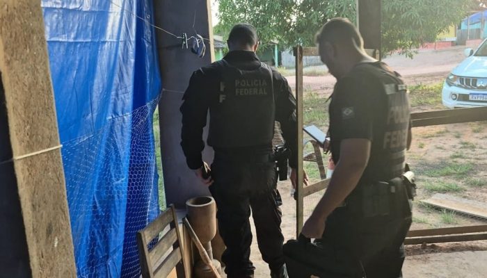 PF faz operação contra grilagem de terras públicas no Pará — Foto: PF/Divulgação