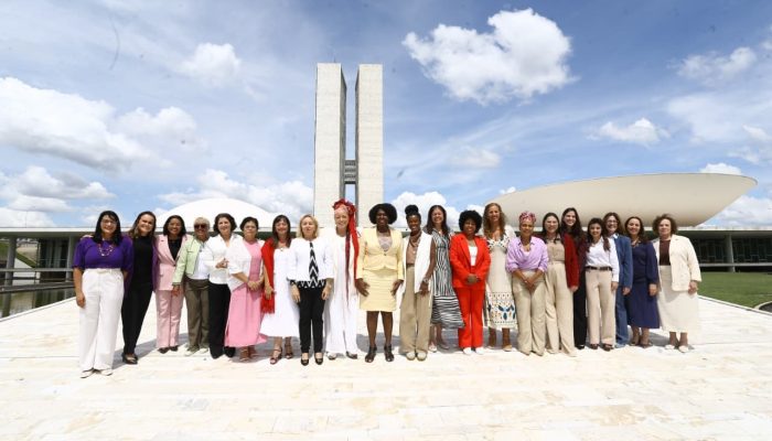tagens citadas na representação, discute conceitos como “democracia familiar”, “
