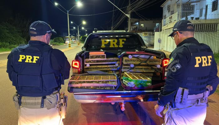 PRF / Divulgação