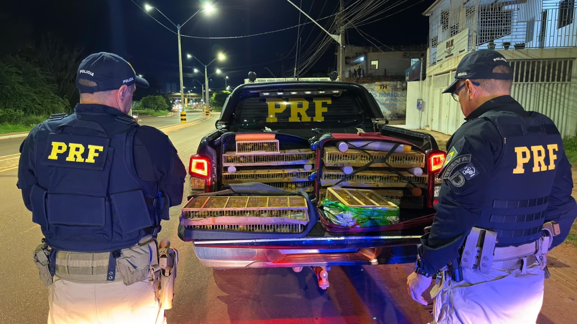 PRF / Divulgação
