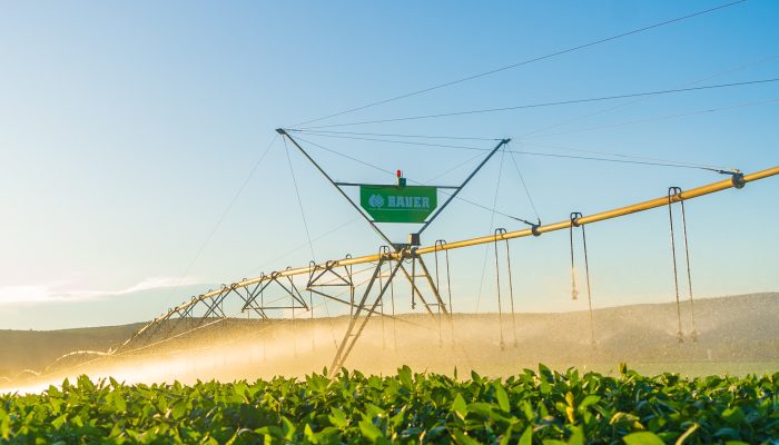 Irrigação na pecuária recebe impulso com novas modalidades de financiamento