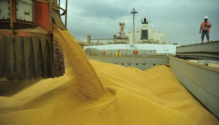 tações de soja, milho e farelo de soja do Brasil em julho apareceu primeiro em N
