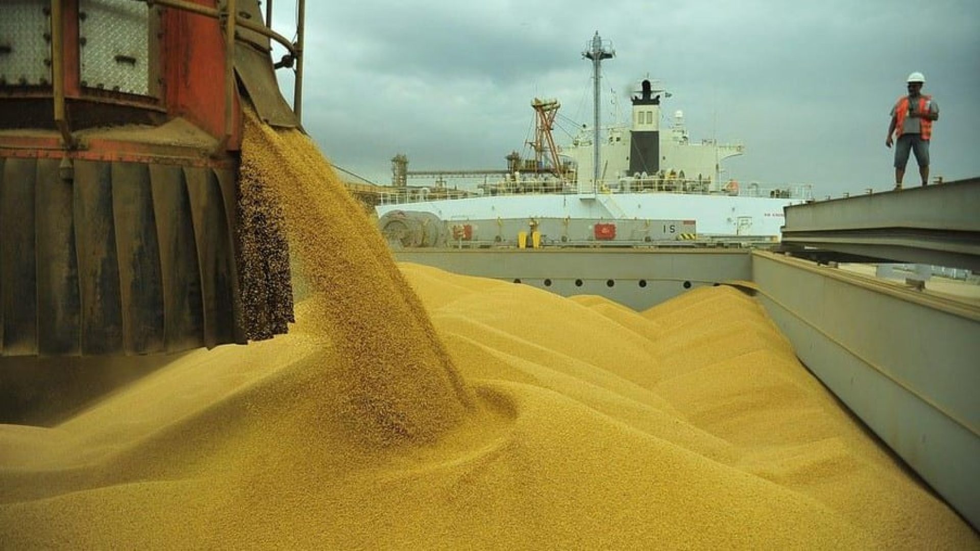 tações de soja, milho e farelo de soja do Brasil em julho apareceu primeiro em N