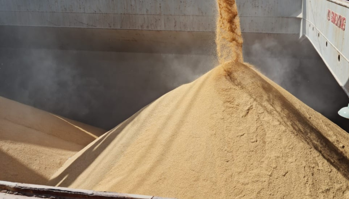 tar cerca de 2 milhões de toneladas em 2026. O post Exportações de arroz aliviam
