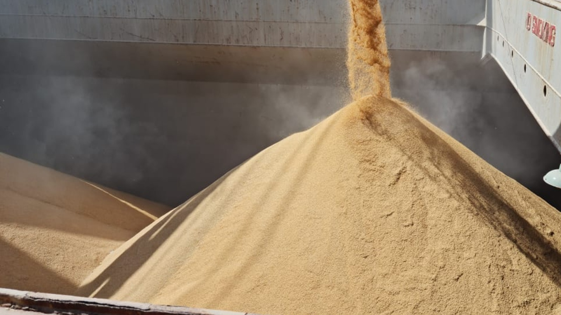 tar cerca de 2 milhões de toneladas em 2026. O post Exportações de arroz aliviam