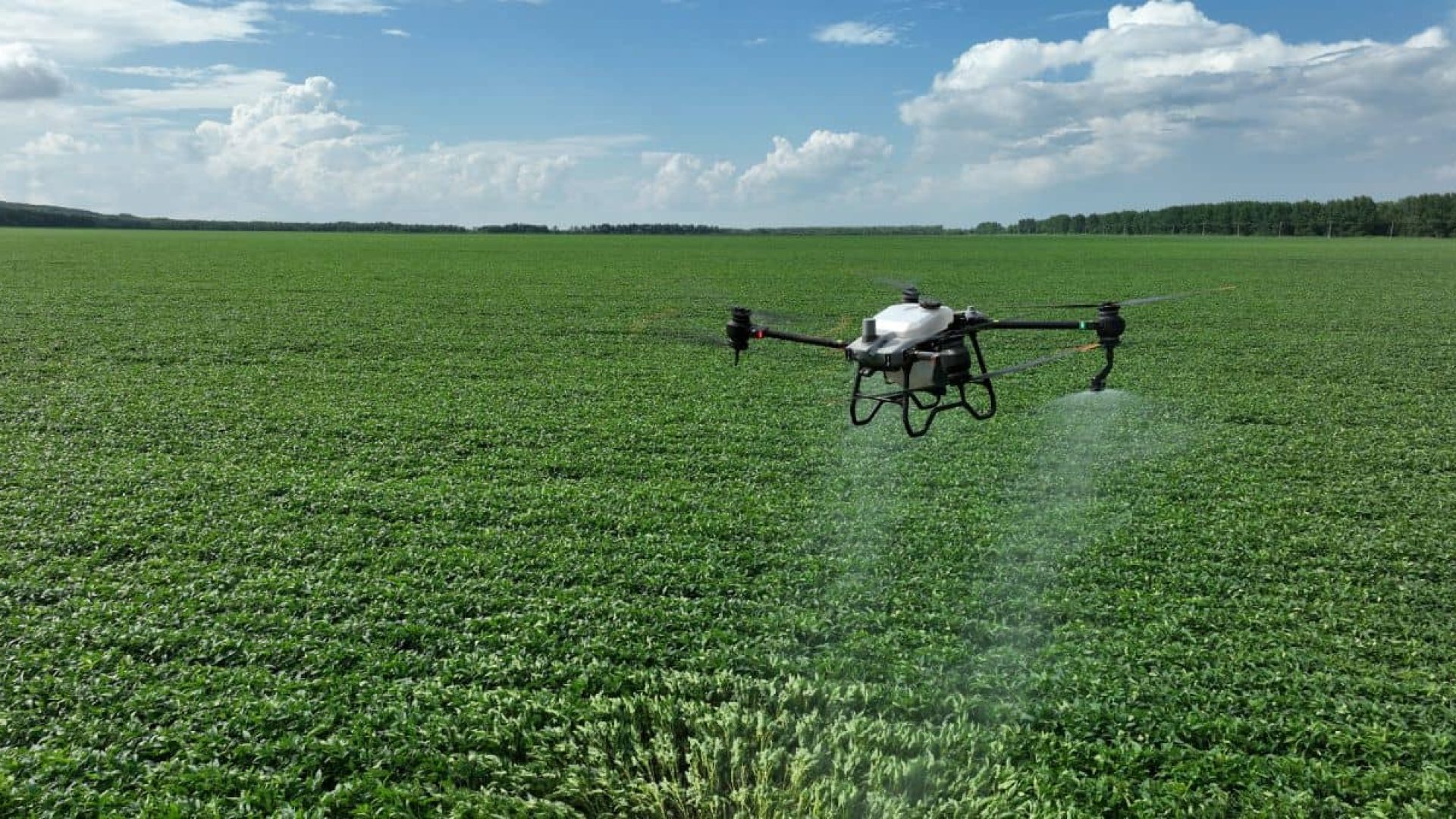 Setor agrícola lança cartilha com diretrizes para pulverização por drones