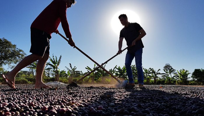 Café: gigante do setor busca renegociação bilionária para manter operações