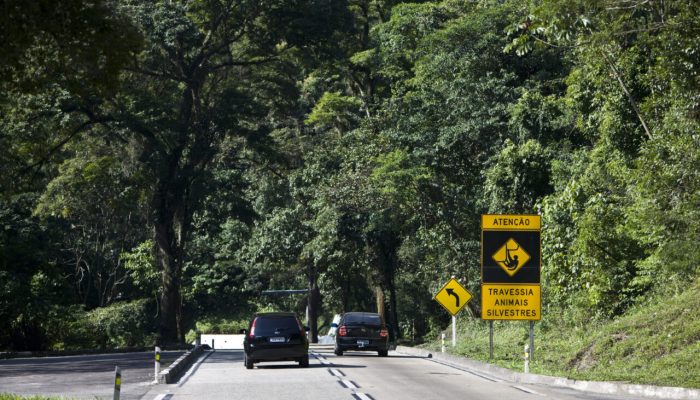 Segurança viária ganha reforço com coalizão para reduzir mortes em rodovias