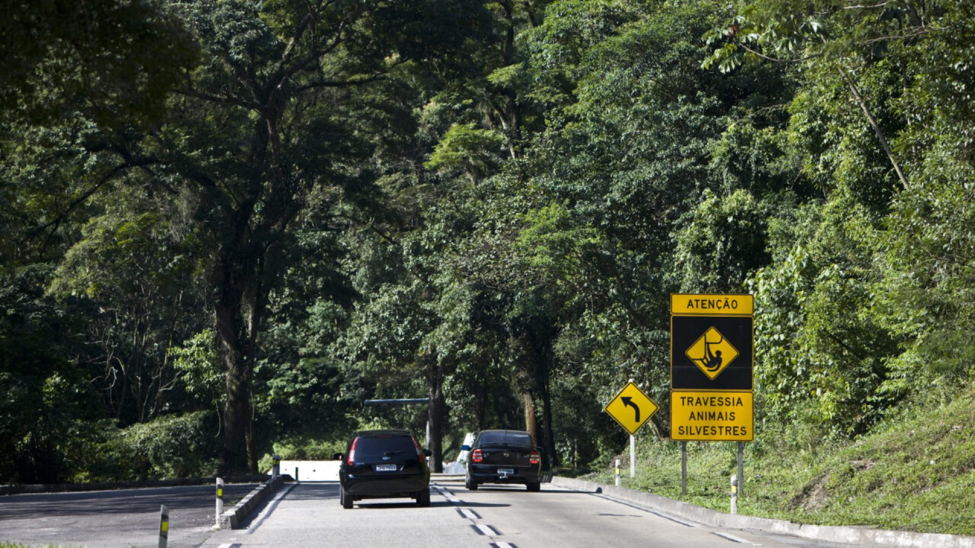 Segurança viária ganha reforço com coalizão para reduzir mortes em rodovias