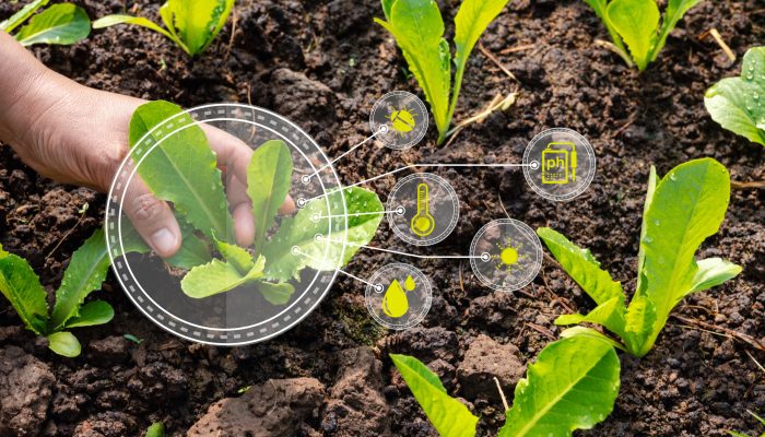 Bioinsumos enfrentam desafios regulatórios para consolidar expansão no agronegócio